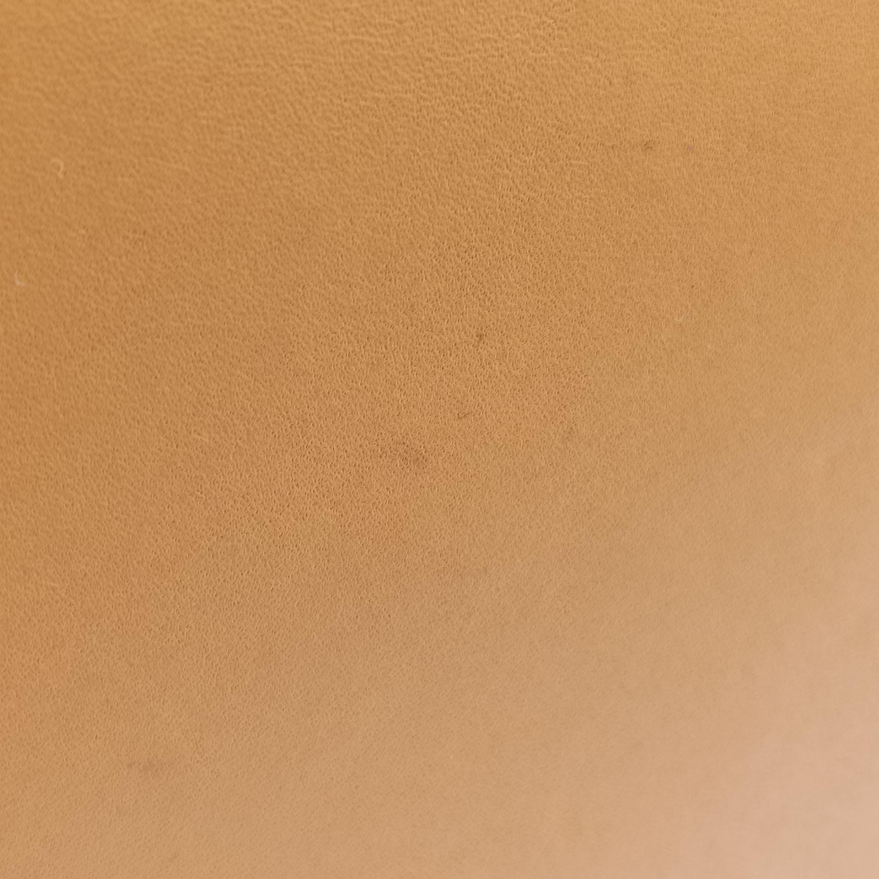 Pre-owned Celine Luggage Mini Shopper Yellow×black Leather  handbag | stylenewstar