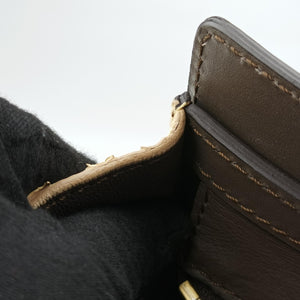 Pre-owned Celine luggage nano shopper Blue×white×Brown snakeskin  shoulderbag | stylenewstar