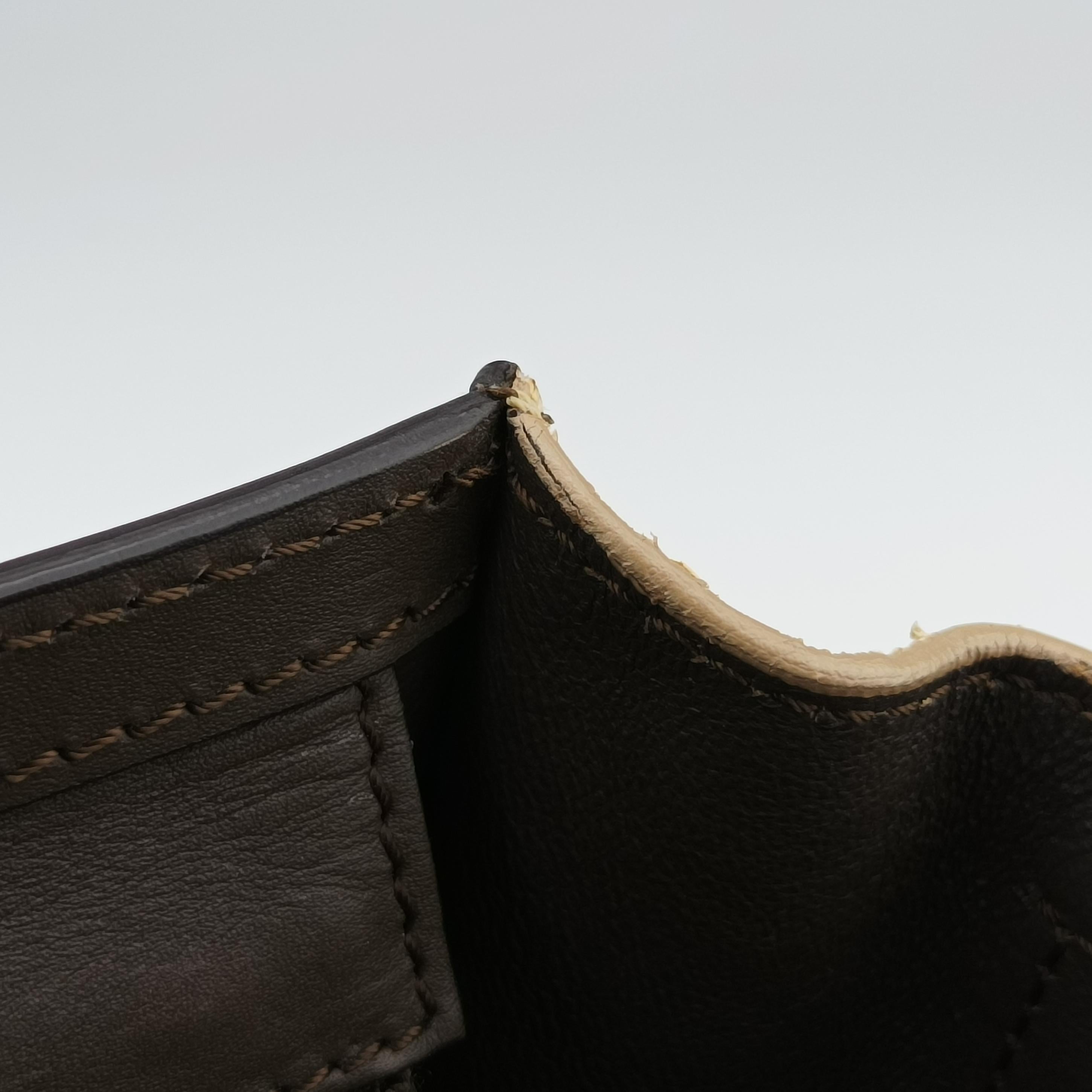 Pre-owned Celine luggage nano shopper Blue×white×Brown snakeskin  shoulderbag | stylenewstar