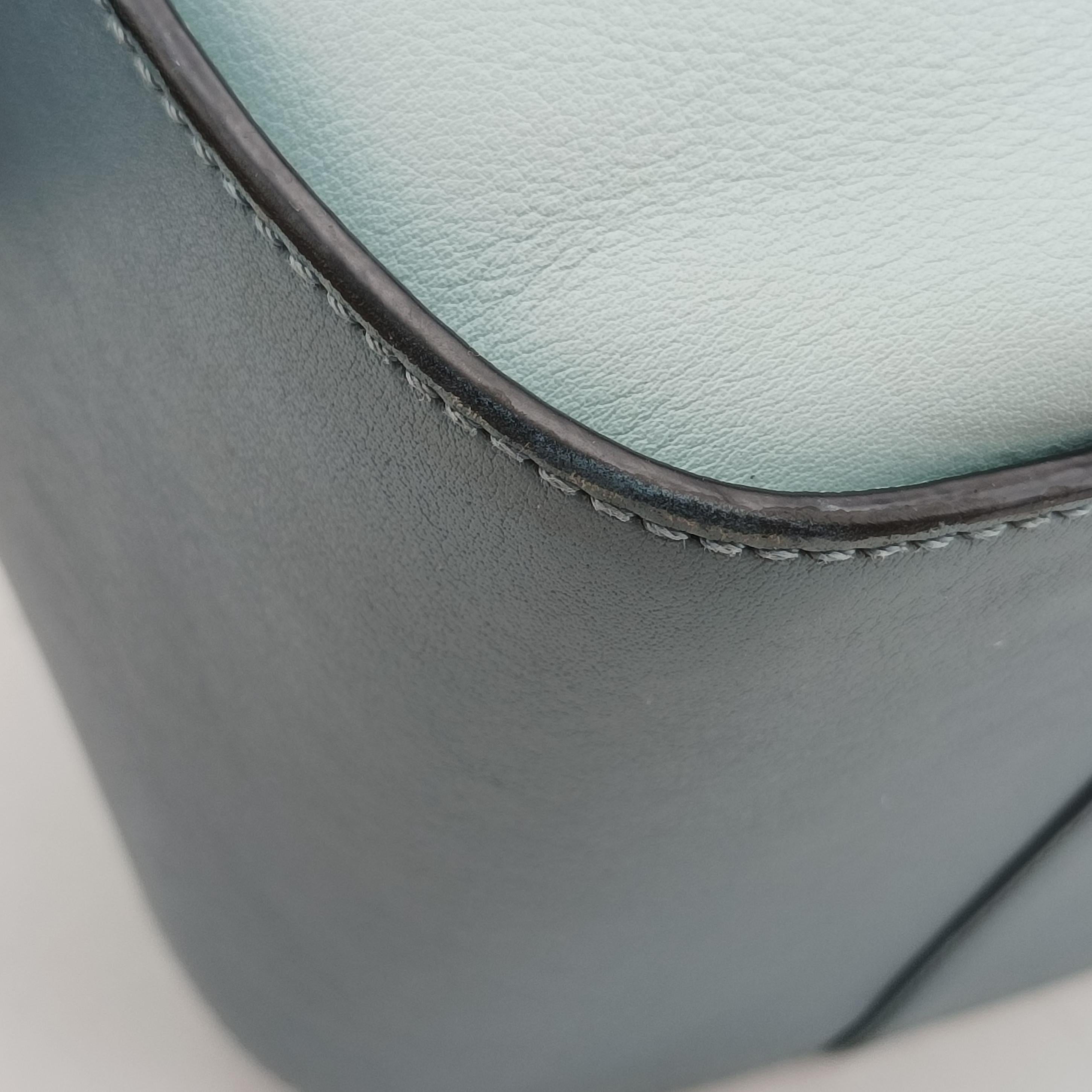 Pre-owned Loewe hammock Blue x Light Blue leather  shoulderbag | stylenewstar