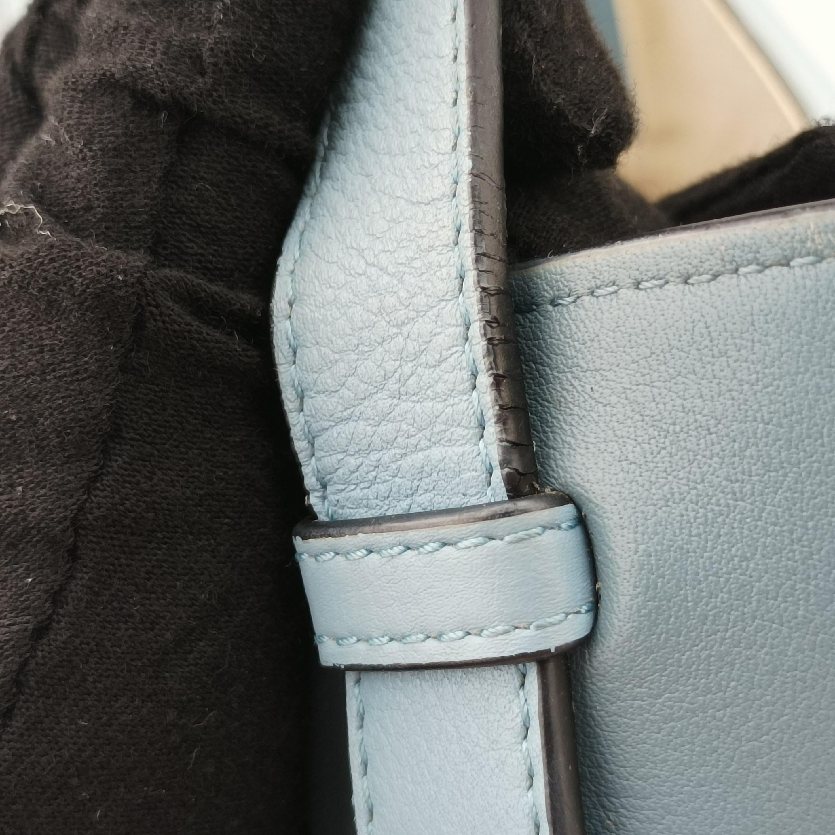 Pre-owned Loewe hammock Blue x Light Blue leather  shoulderbag | stylenewstar