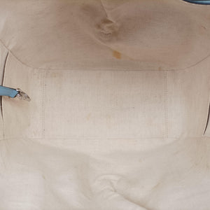 Pre-owned Loewe hammock Blue x Light Blue leather  shoulderbag | stylenewstar