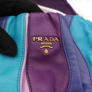 Pre-owned Prada  Trembled Blossoms Multicolor Purple × Blue Nappa Leather BN1680 shoulderbag | stylenewstar
