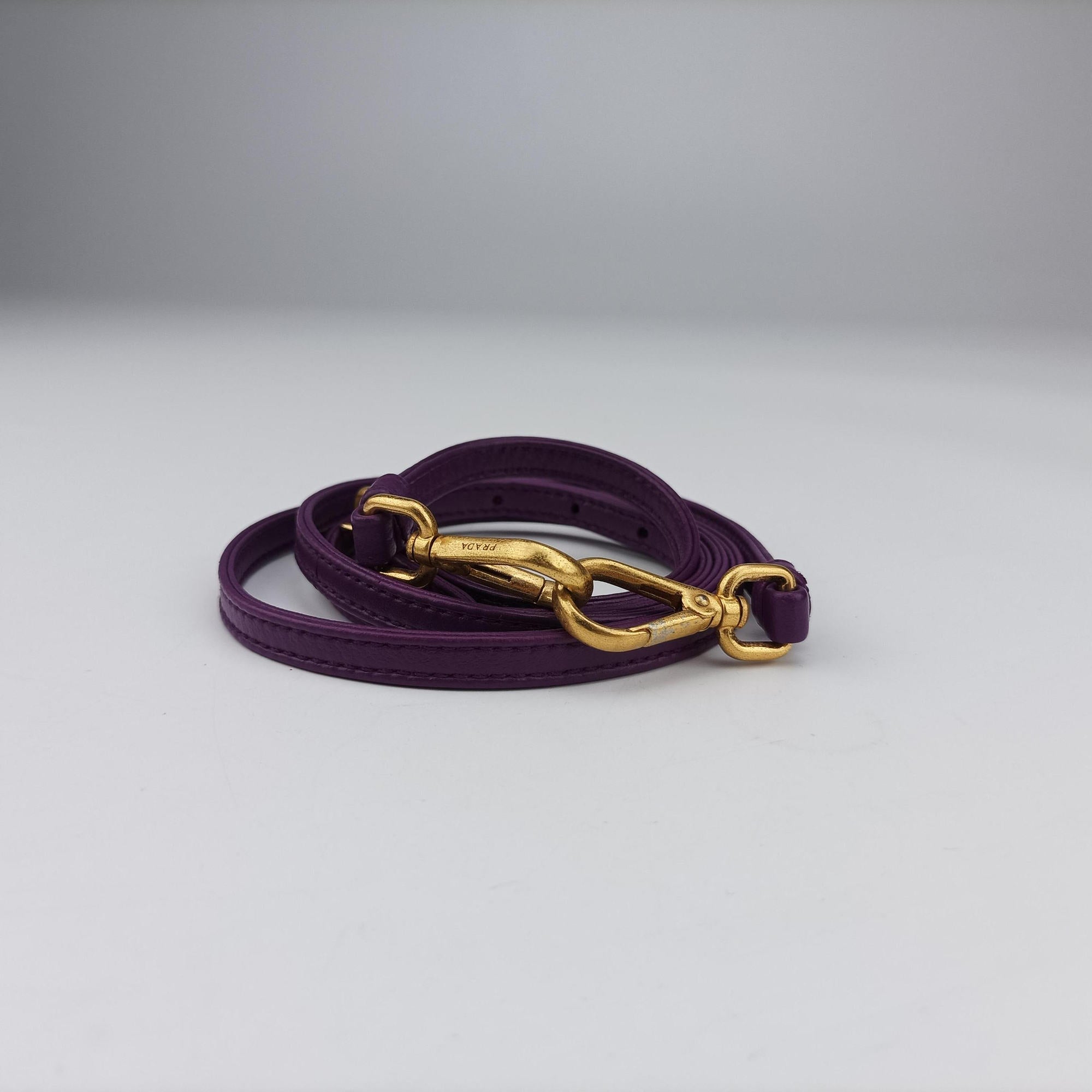 Pre-owned Prada  Trembled Blossoms Multicolor Purple × Blue Nappa Leather BN1680 shoulderbag | stylenewstar