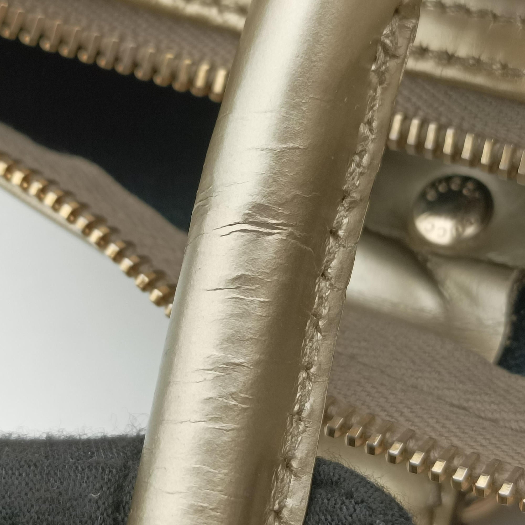 Pre-owned Gucci GG plus Spring Joy GG Supreme White PVC coated canvas 193603 handbag | stylenewstar