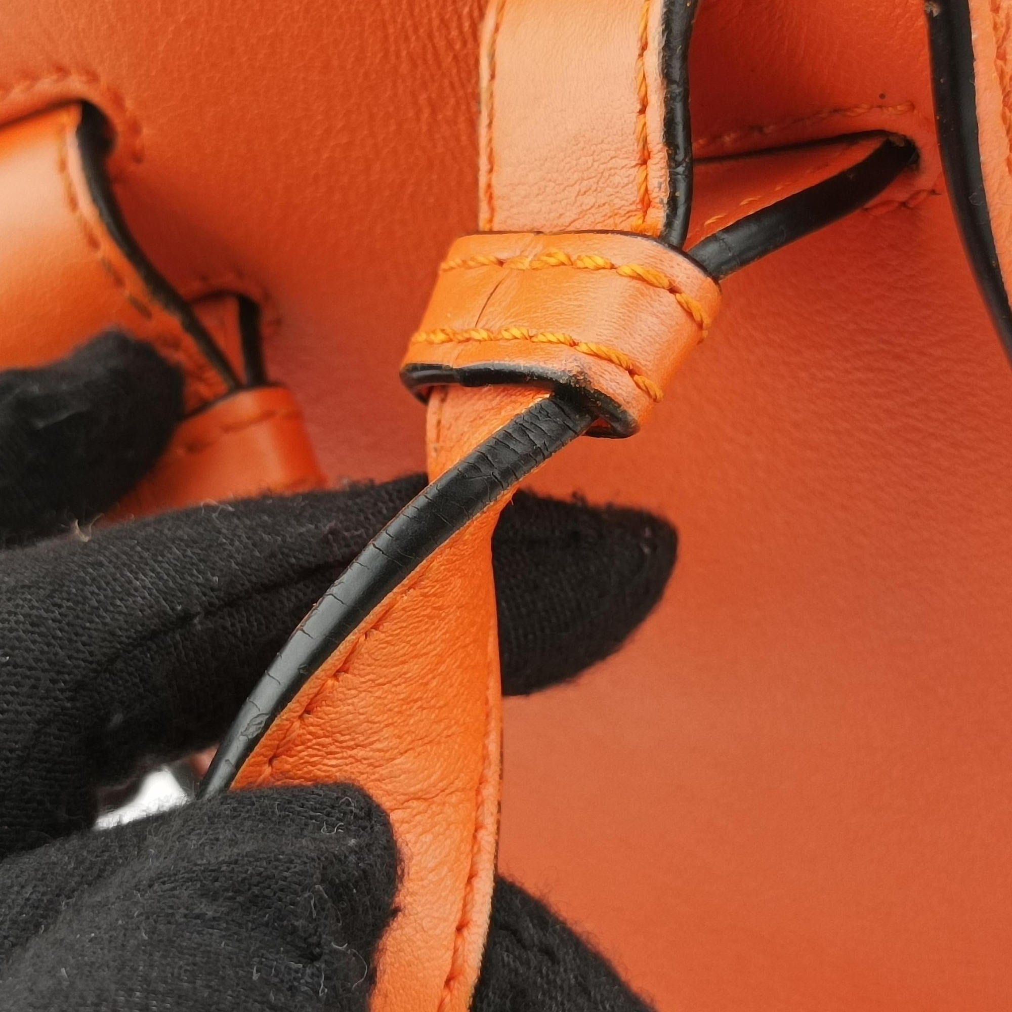 Pre-owned Loewe hammock Orange leather  shoulderbag | stylenewstar
