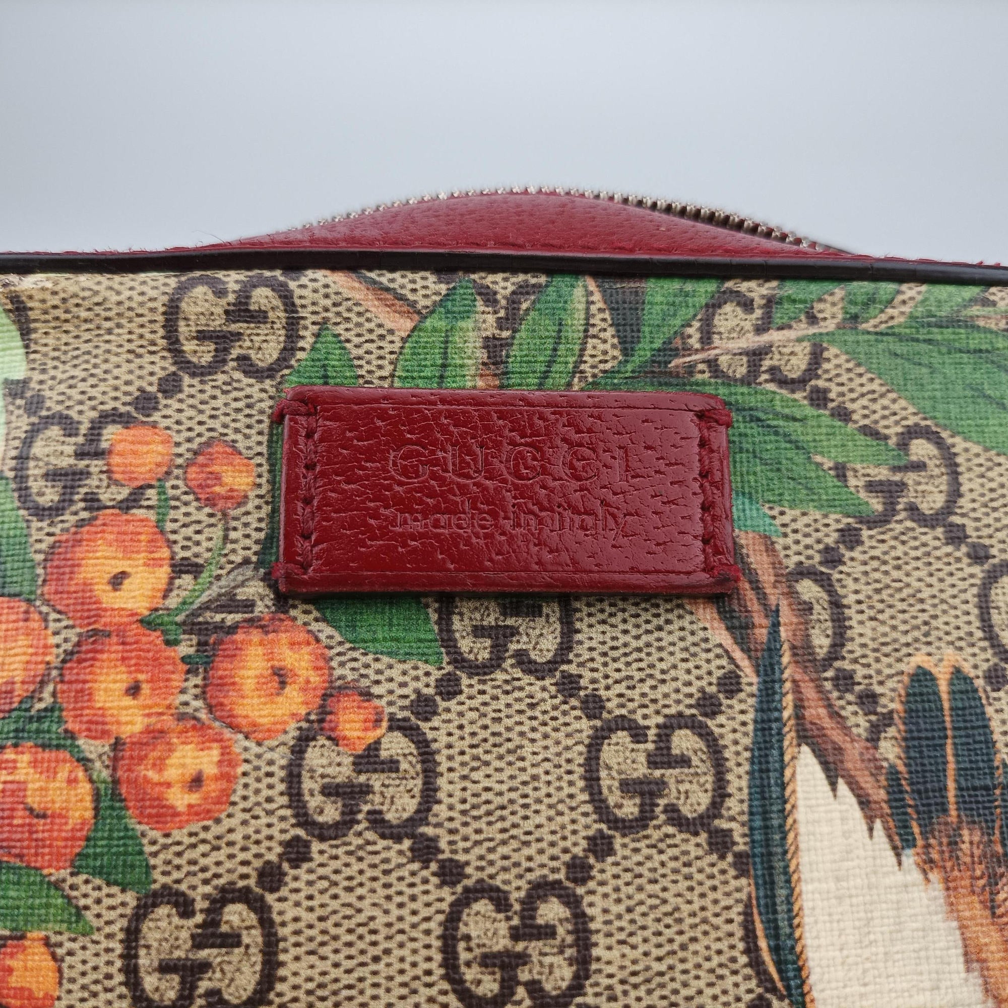 Pre-owned Gucci GG Supreme Tian Camera Brown PVC coated canvas×Leather 450947 shoulderbag | stylenewstar