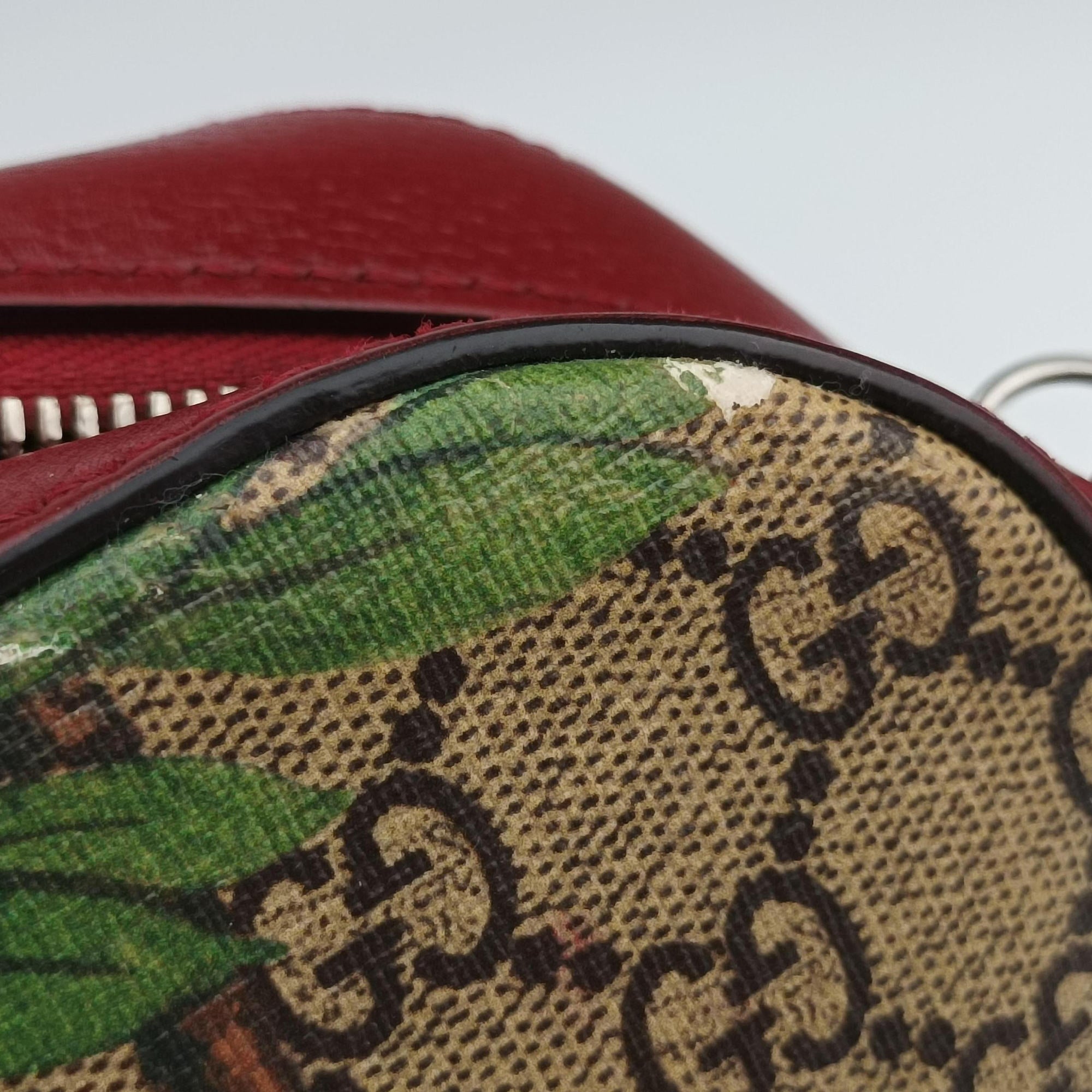 Pre-owned Gucci GG Supreme Tian Camera Brown PVC coated canvas×Leather 450947 shoulderbag | stylenewstar