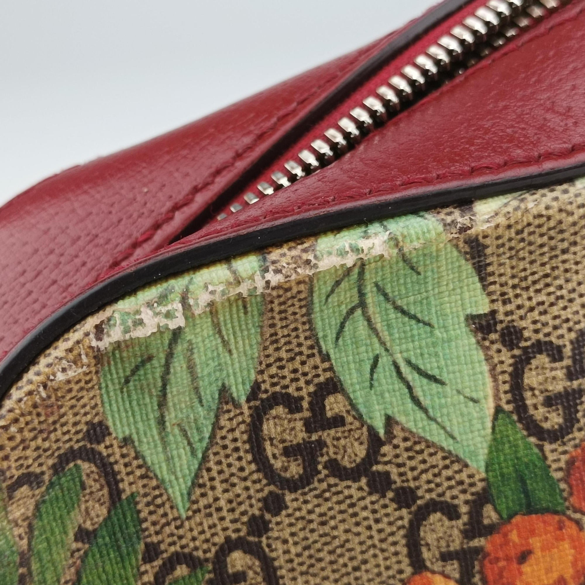 Pre-owned Gucci GG Supreme Tian Camera Brown PVC coated canvas×Leather 450947 shoulderbag | stylenewstar