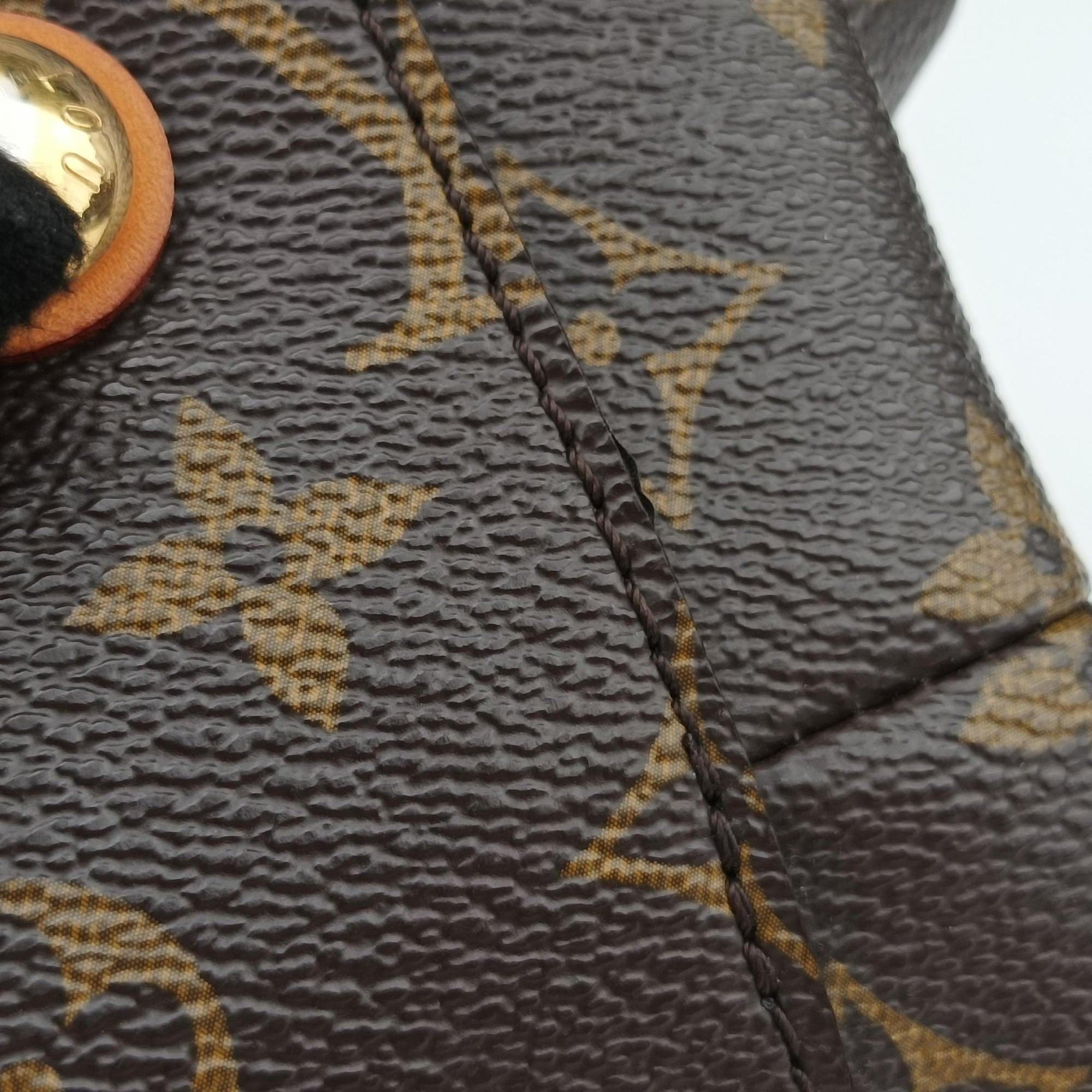 Secondhand Louis Vuitton OLYMPE Brown×QUETSCHE Monogram Canvas×calf leather M40926 handbag | stylenewstar
