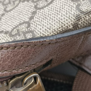 Secondhand Gucci ophidia The Three Little Pigs Brown×Multicolour PVC coated canvas 552884 backpack/rucksack | stylenewstar