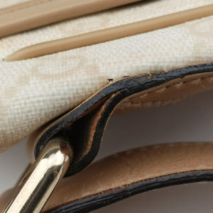 Pre-owned Gucci GG Plus Messenger beige PVC coated canvas×Leather 201732 shoulderbag | stylenewstar