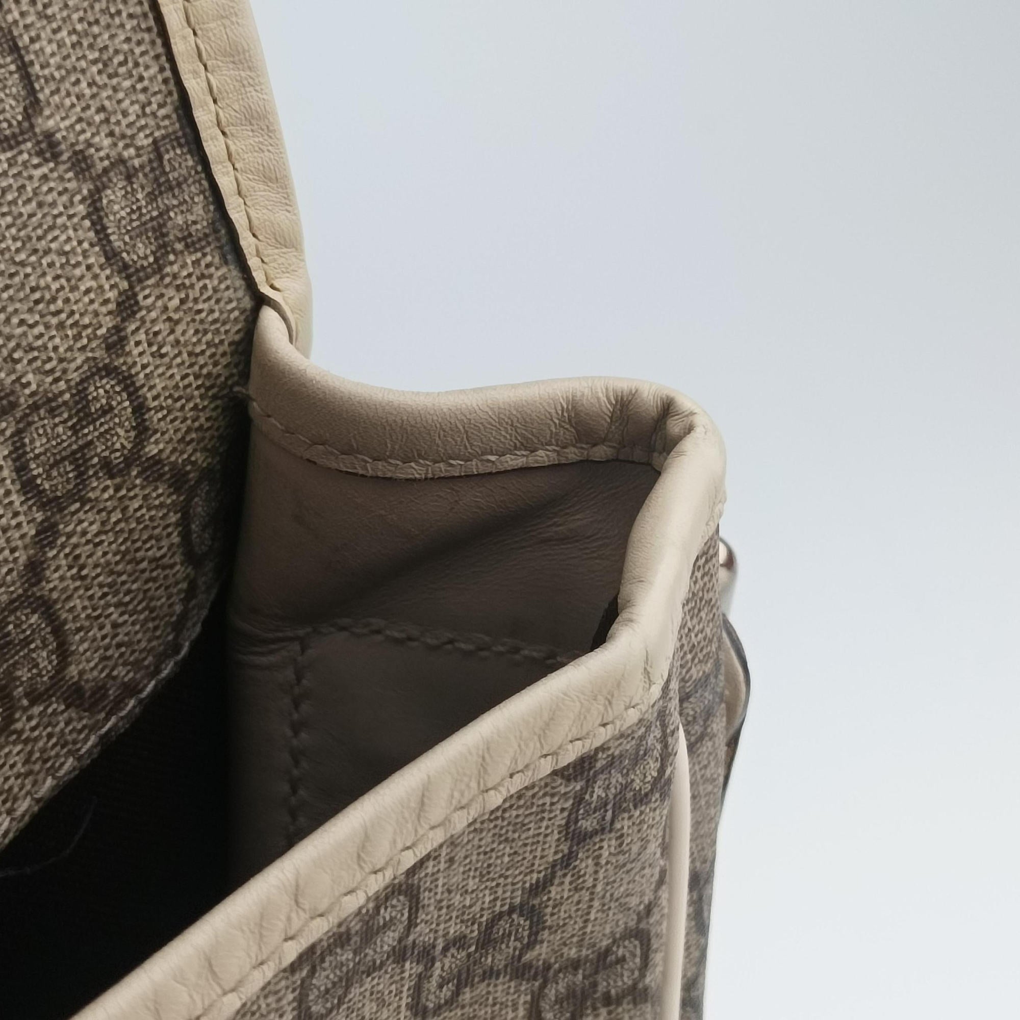 Pre-owned Gucci GG Plus Messenger Brown×White PVC coated canvas 201732 shoulderbag | stylenewstar