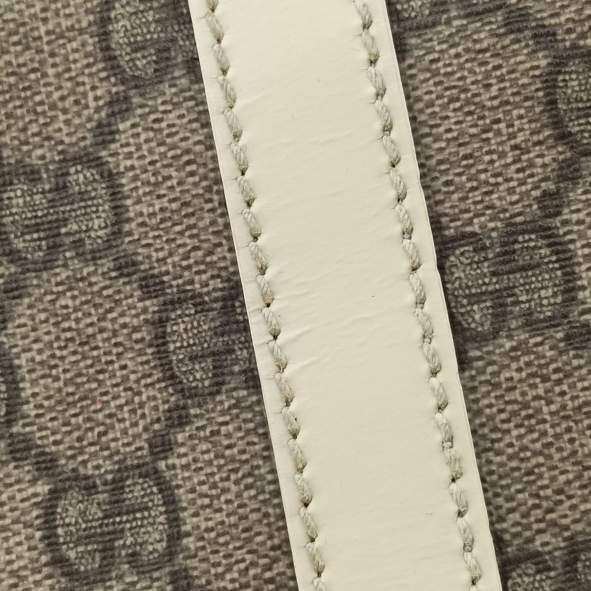 Pre-owned Gucci GG plus Spring Joy GG Supreme BEIGE×WHITE PVC coated canvas 193603 handbag | stylenewstar