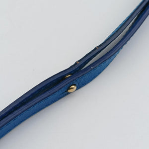 Pre-owned Celine TRIO Blue Leather  shoulderbag | stylenewstar
