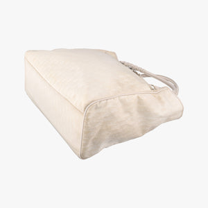 Secondhand Christian Dior Lovely Beige Diorissimo Canvas × Leather  handbag | stylenewstar