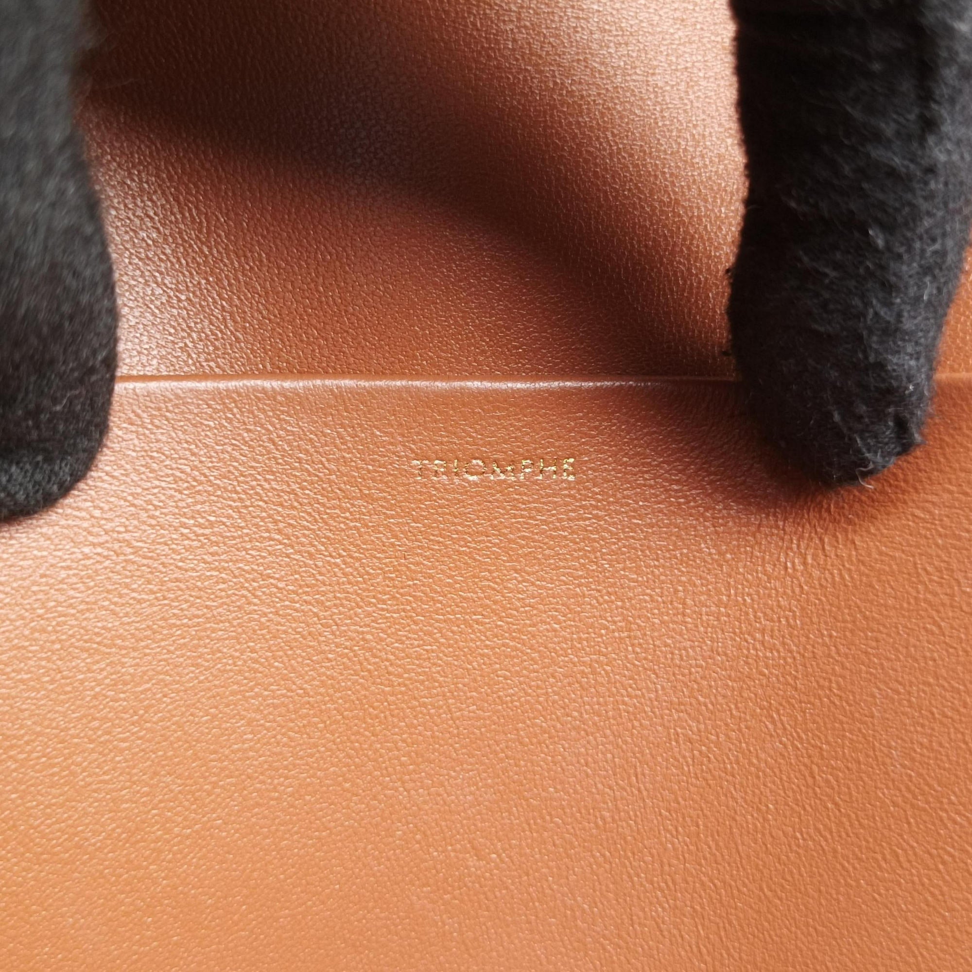 Pre-owned Celine Claude TRIOMPHE Brown PVC coated canvas  shoulderbag | stylenewstar
