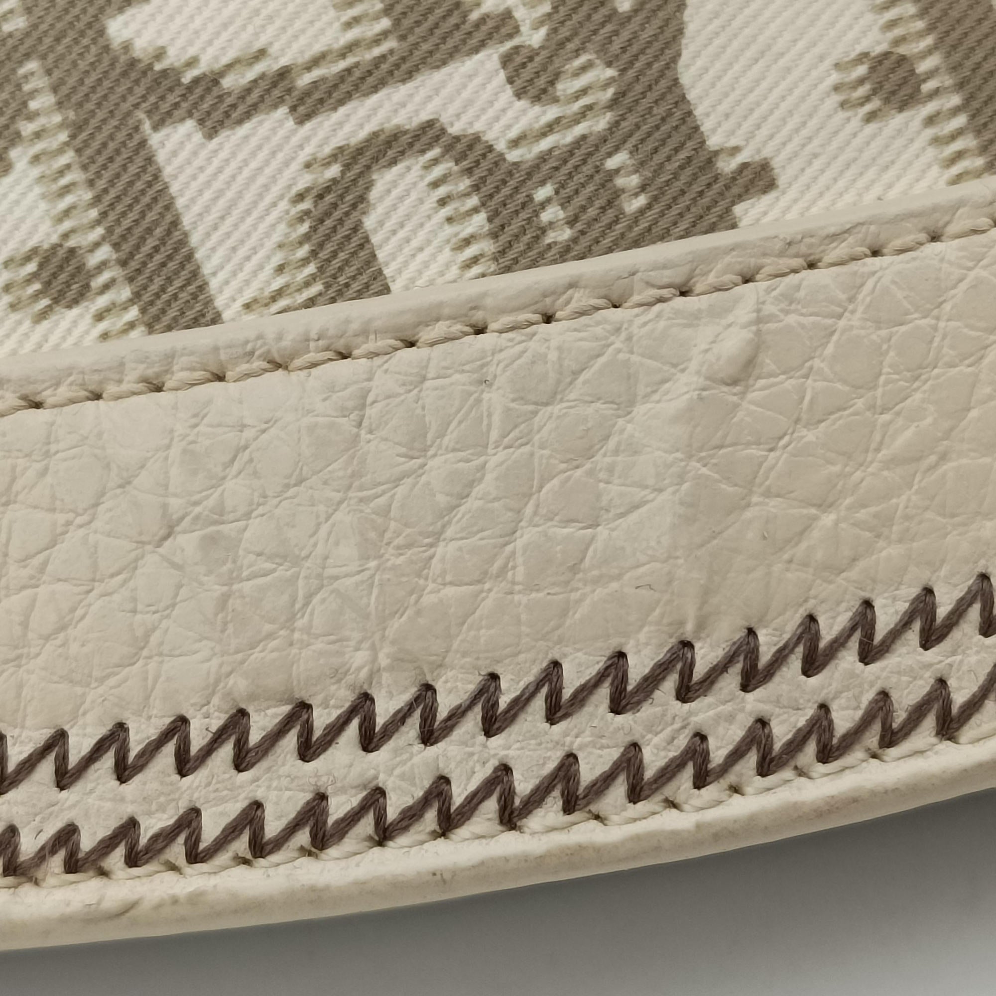 Pre-owned Christian Dior Trotter Flower Line White x Beige x Multicolor Canvas × Leather  handbag | stylenewstar