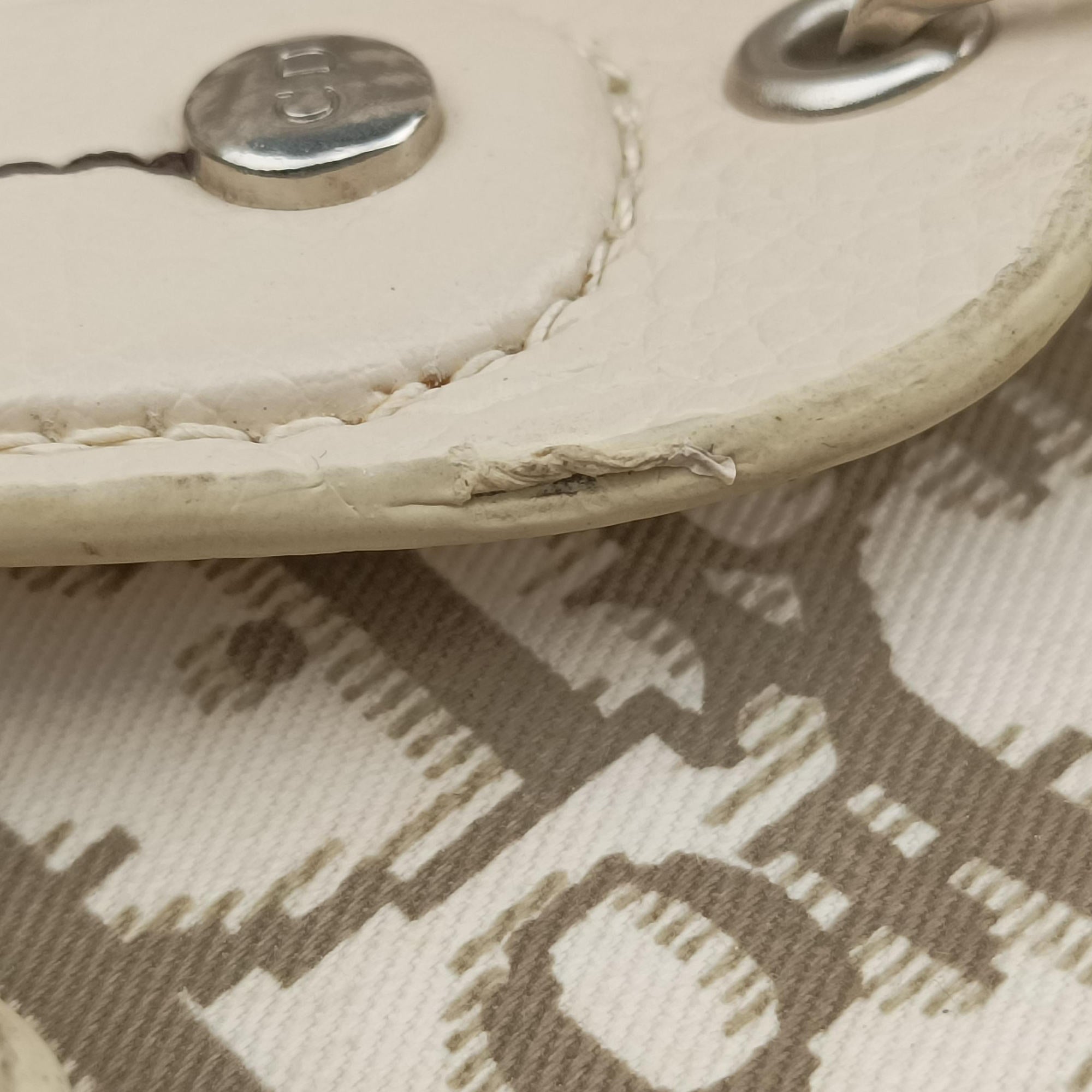 Pre-owned Christian Dior Trotter Flower Line White x Beige x Multicolor Canvas × Leather  handbag | stylenewstar