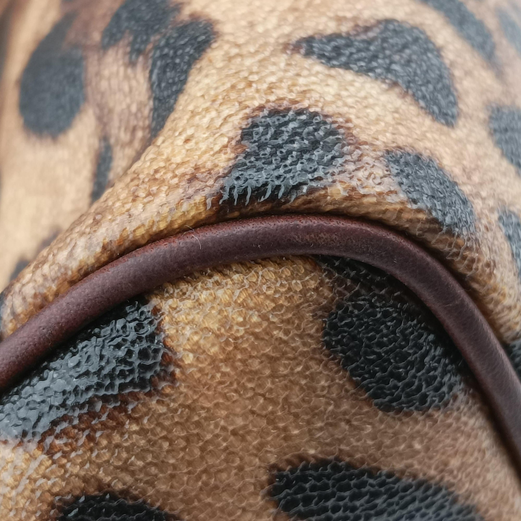Pre-owned Dolce & Gabbana Crespo Leopard Animalier Multicolour PVC coated canvas  handbag | stylenewstar