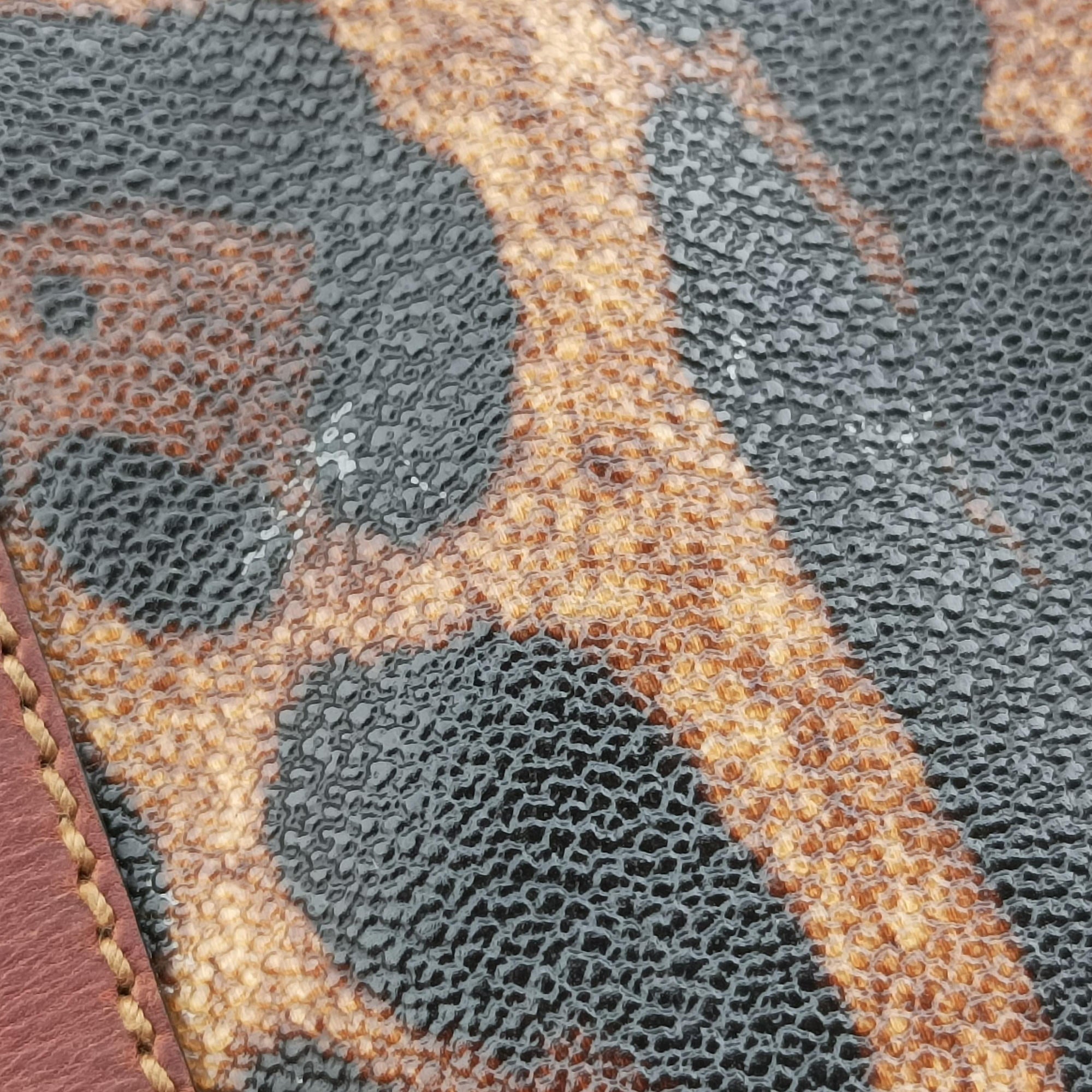 Pre-owned Dolce & Gabbana Crespo Leopard Animalier Multicolour PVC coated canvas  handbag | stylenewstar