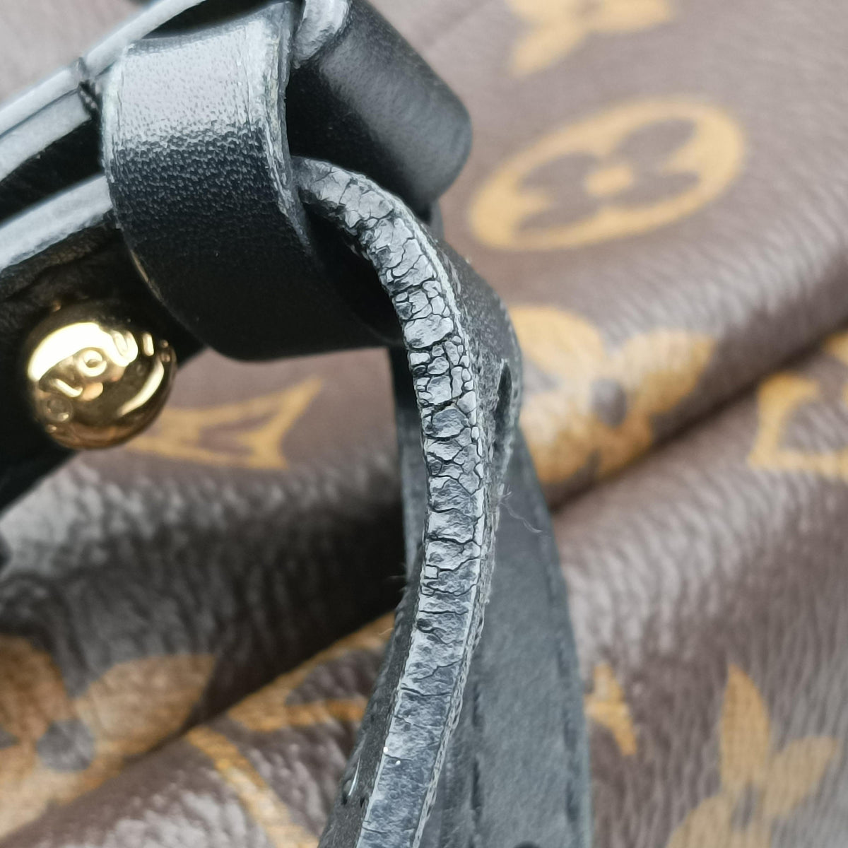 Pre-owned Louis Vuitton Palm Springs Backpack PM Monogram x Noir Monogram Canvas M41560 backpack/rucksack | stylenewstar