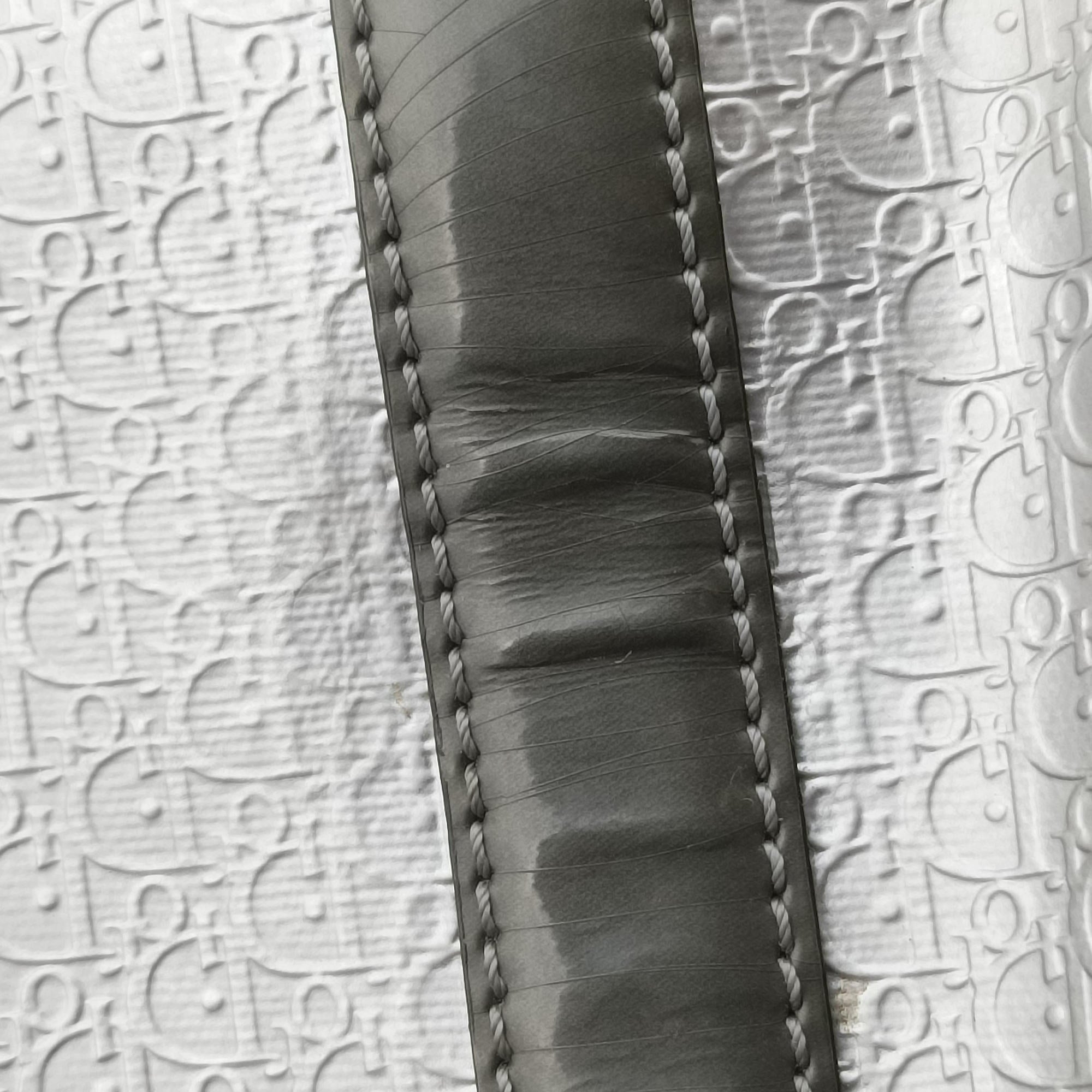Pre-owned Christian Dior Zucchino Glitter Logo Silver × Gray Leather  handbag | stylenewstar
