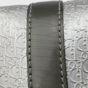 Pre-owned Christian Dior Zucchino Glitter Logo Silver × Gray Leather  handbag | stylenewstar
