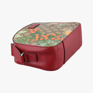 Pre-owned Gucci GG Supreme Tian Camera Brown PVC coated canvas×Leather 450947 shoulderbag | stylenewstar