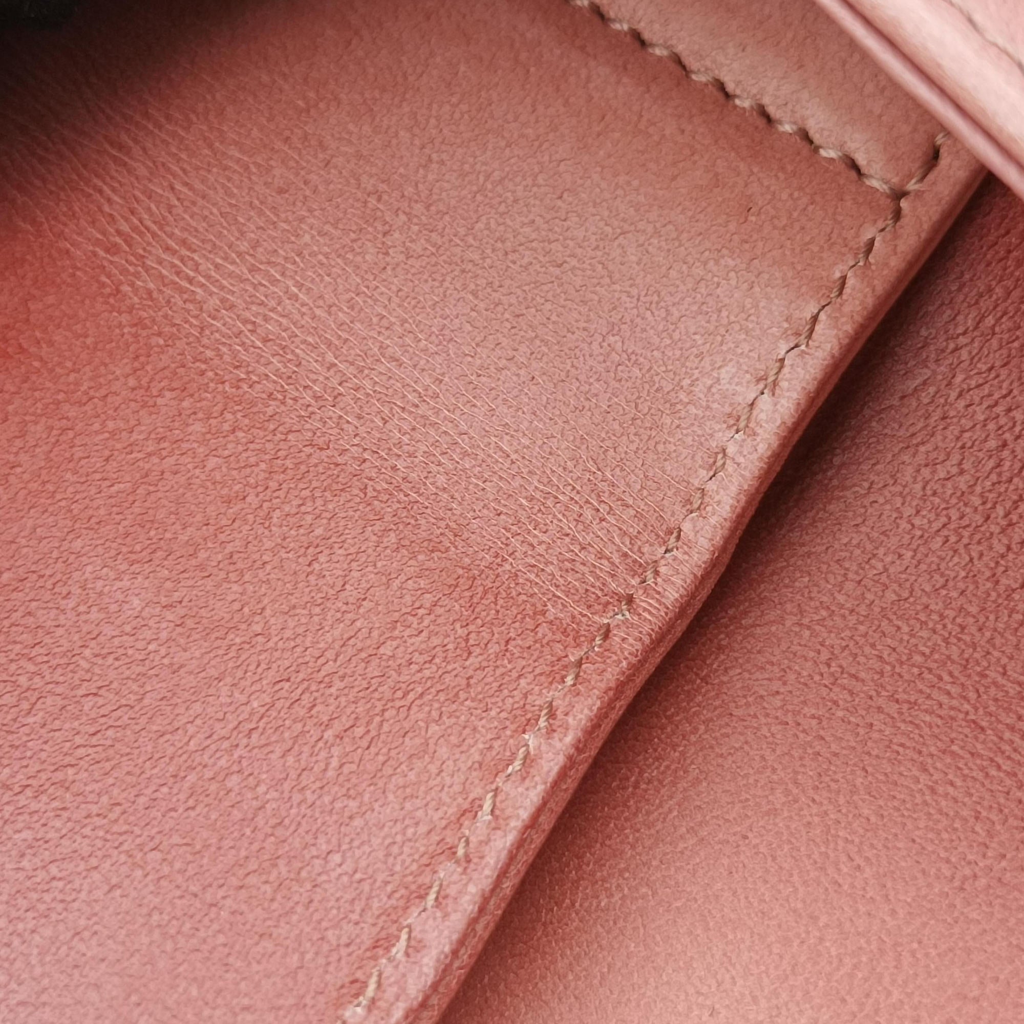 Secondhand Christian Dior Diordouble Pink Leather  shoulderbag | stylenewstar
