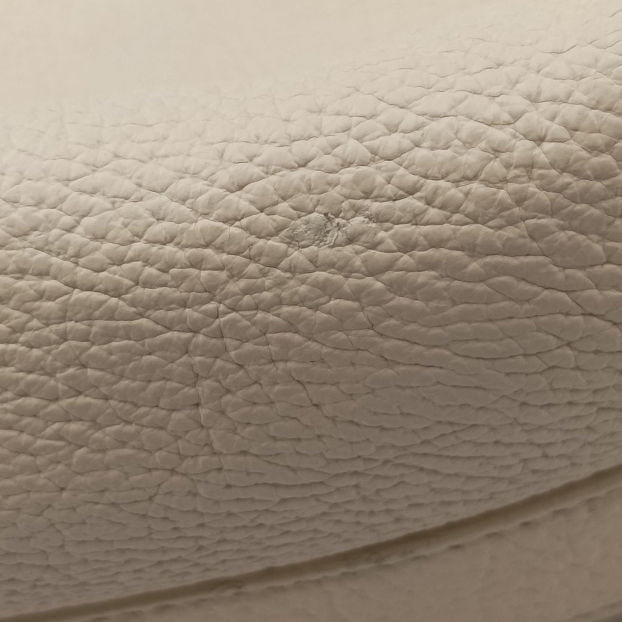 Pre-owned Christian Dior Cannage Bee Beige Leather  handbag | stylenewstar