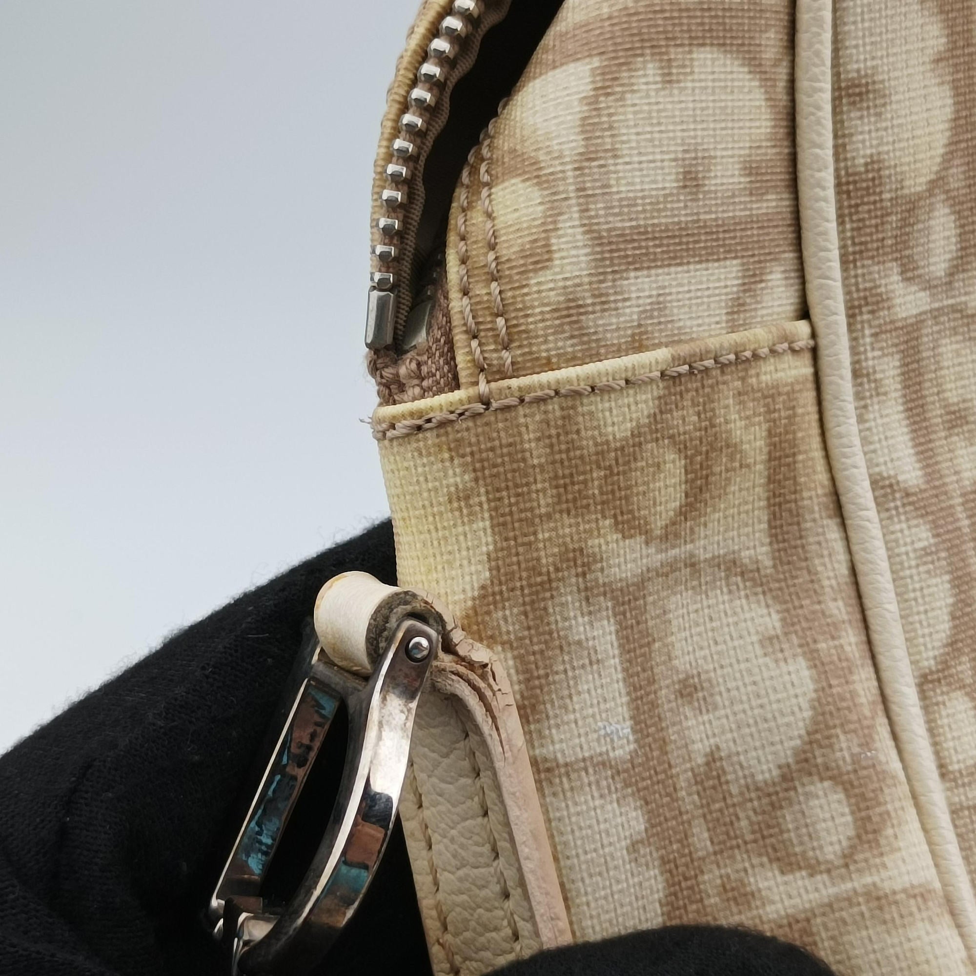 Pre-owned Christian Dior Trotter Flower Beige PVC Coated Canvas Floral Embroidery  shoulderbag | stylenewstar