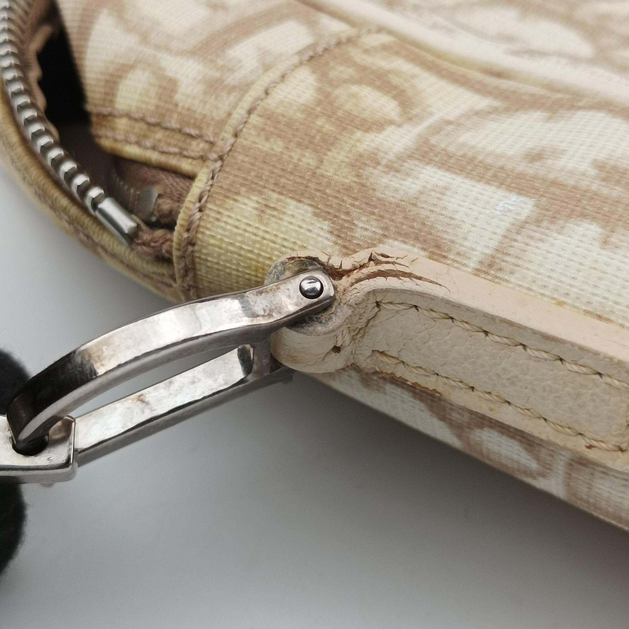 Pre-owned Christian Dior Trotter Flower Beige PVC Coated Canvas Floral Embroidery  shoulderbag | stylenewstar