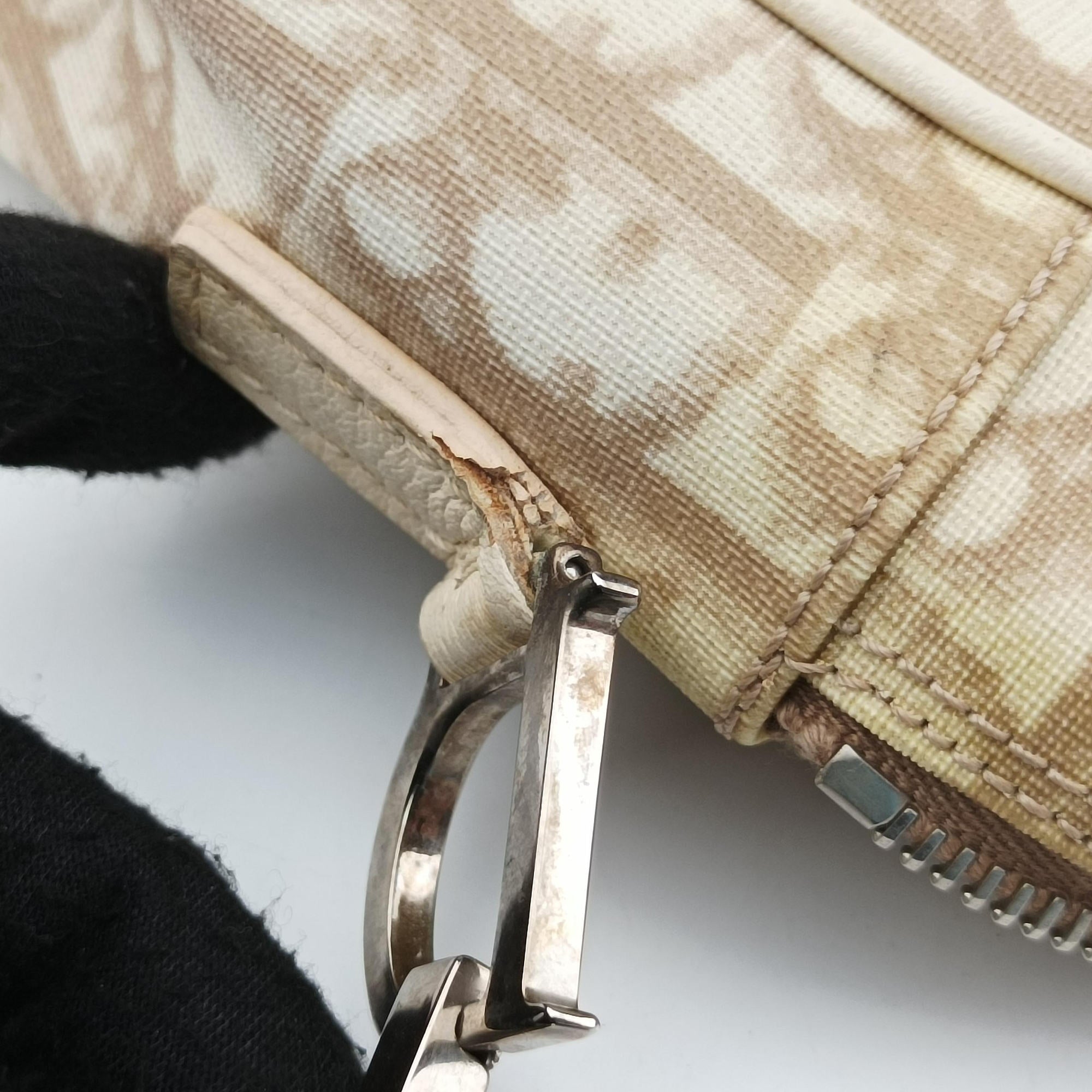 Pre-owned Christian Dior Trotter Flower Beige PVC Coated Canvas Floral Embroidery  shoulderbag | stylenewstar