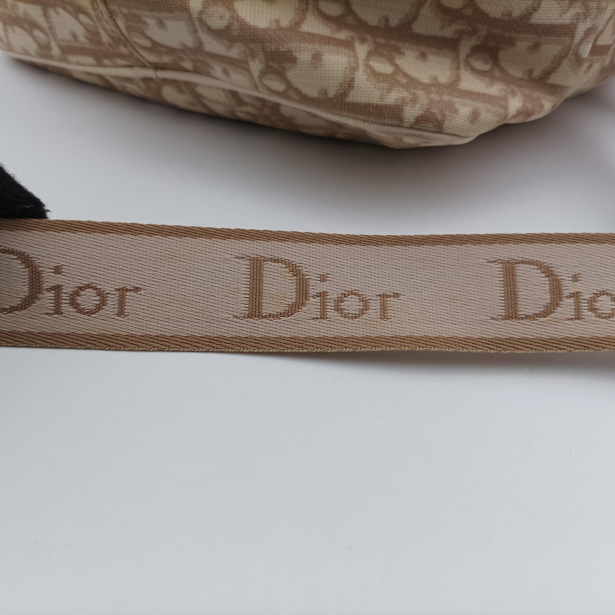 Pre-owned Christian Dior Trotter Flower Beige PVC Coated Canvas Floral Embroidery  shoulderbag | stylenewstar