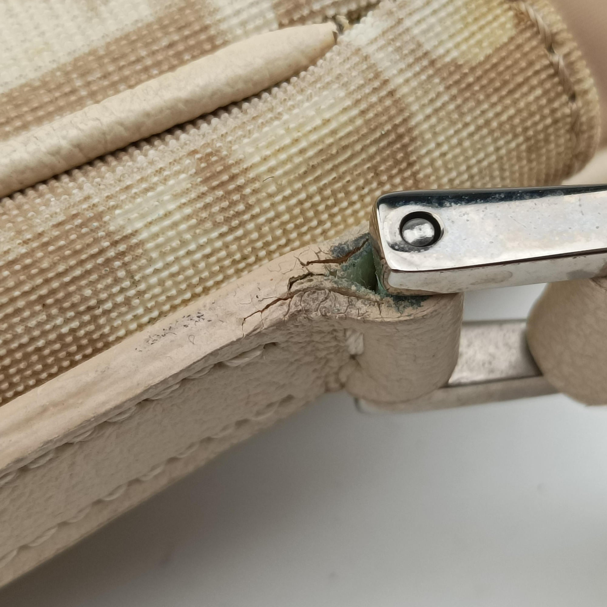 Pre-owned Christian Dior Trotter Flower Beige PVC Coated Canvas Floral Embroidery  shoulderbag | stylenewstar