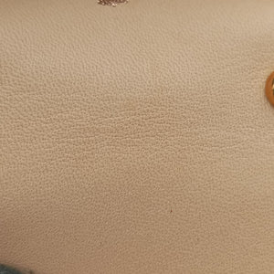 Secondhand Delvaux Brillant Beige Leather  coinpurse | stylenewstar