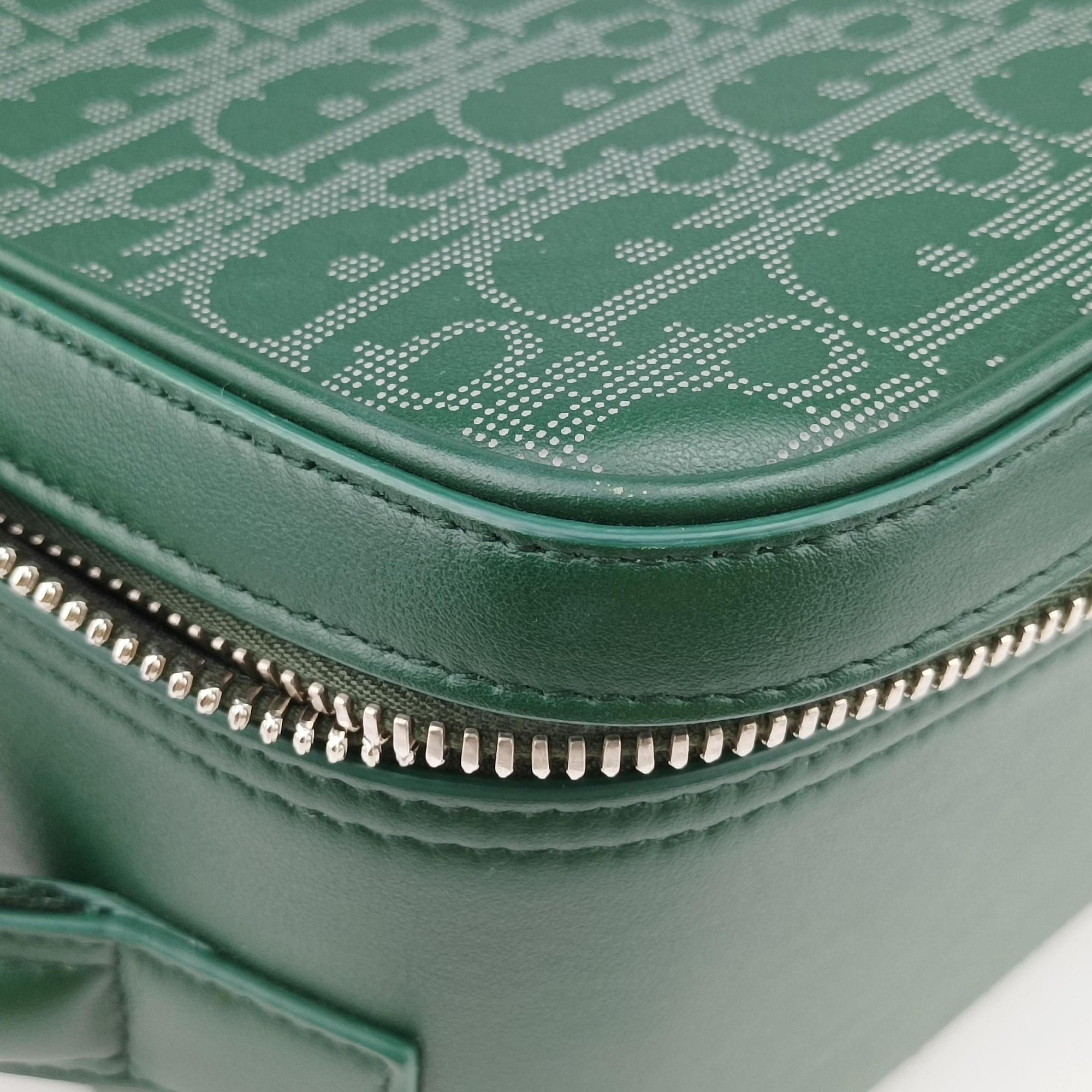 Pre-owned Christian Dior Dior World Tour Capsule Green Leather  shoulderbag | stylenewstar