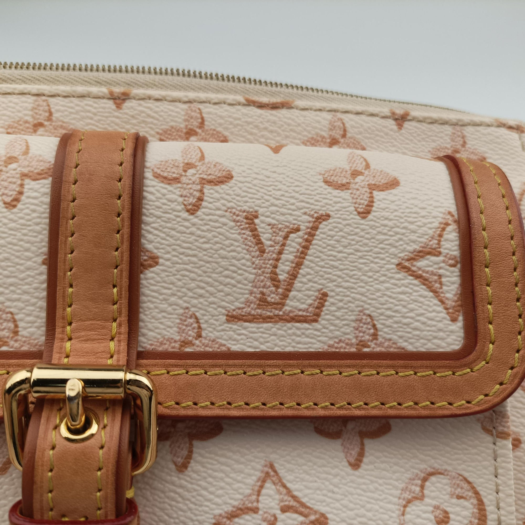 Vintage Louis Vuitton Maxi Pochette Accessoires Ivory x Brown PVC-coated canvas M20920 shoulderbag | stylenewstar