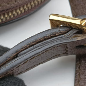 Pre-owned Gucci Ophidia brown×red×green PVC coated canvas×Leather 499621 shoulderbag | stylenewstar