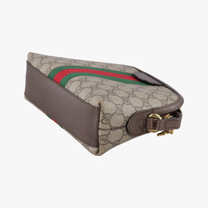 Pre-owned Gucci Ophidia brown×red×green PVC coated canvas×Leather 499621 shoulderbag | stylenewstar