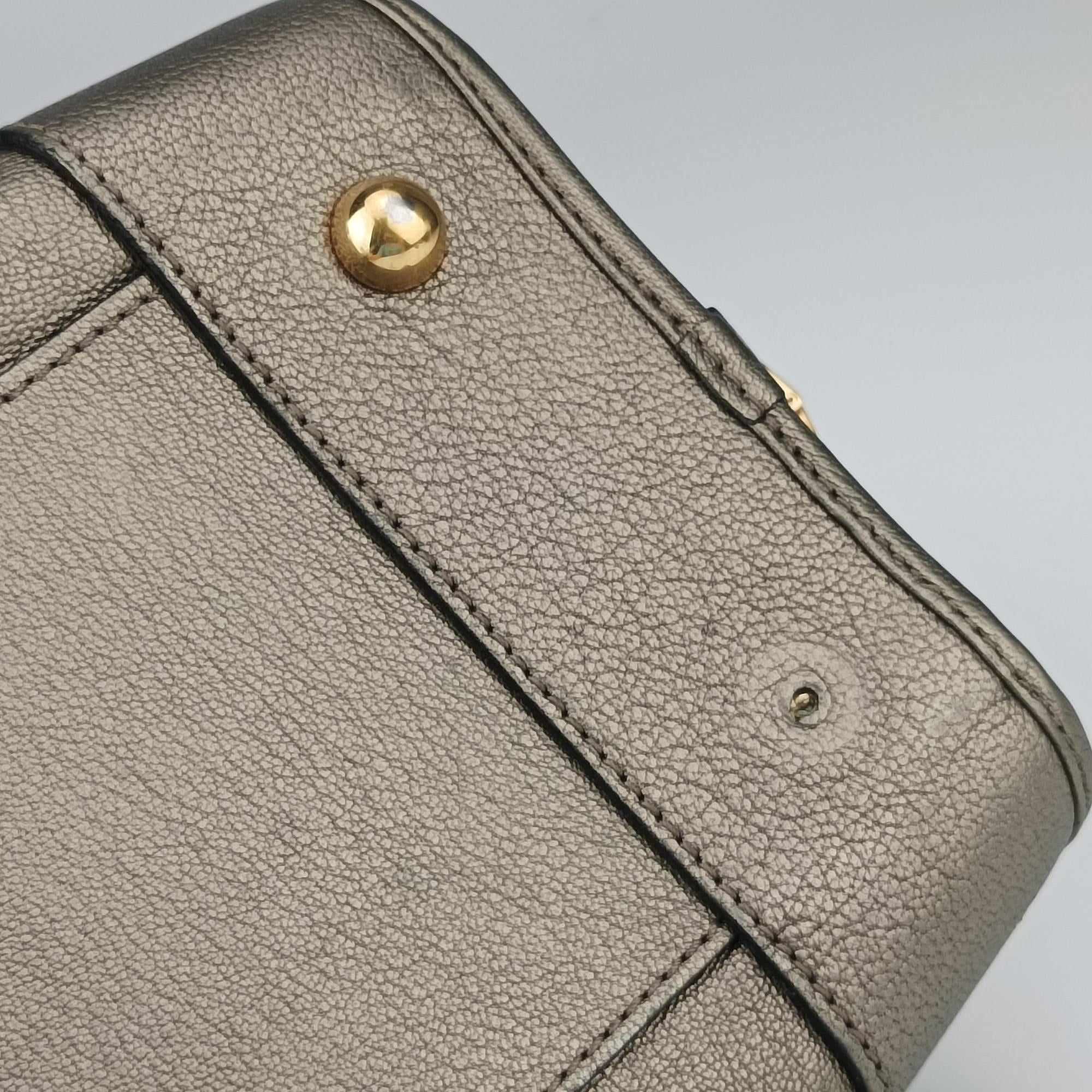 Vintage Loewe Amazona 36 Golden Leather  handbag | stylenewstar