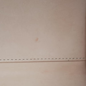 Secondhand Delvaux Brillon MM
 White Leather  shoulderbag | stylenewstar