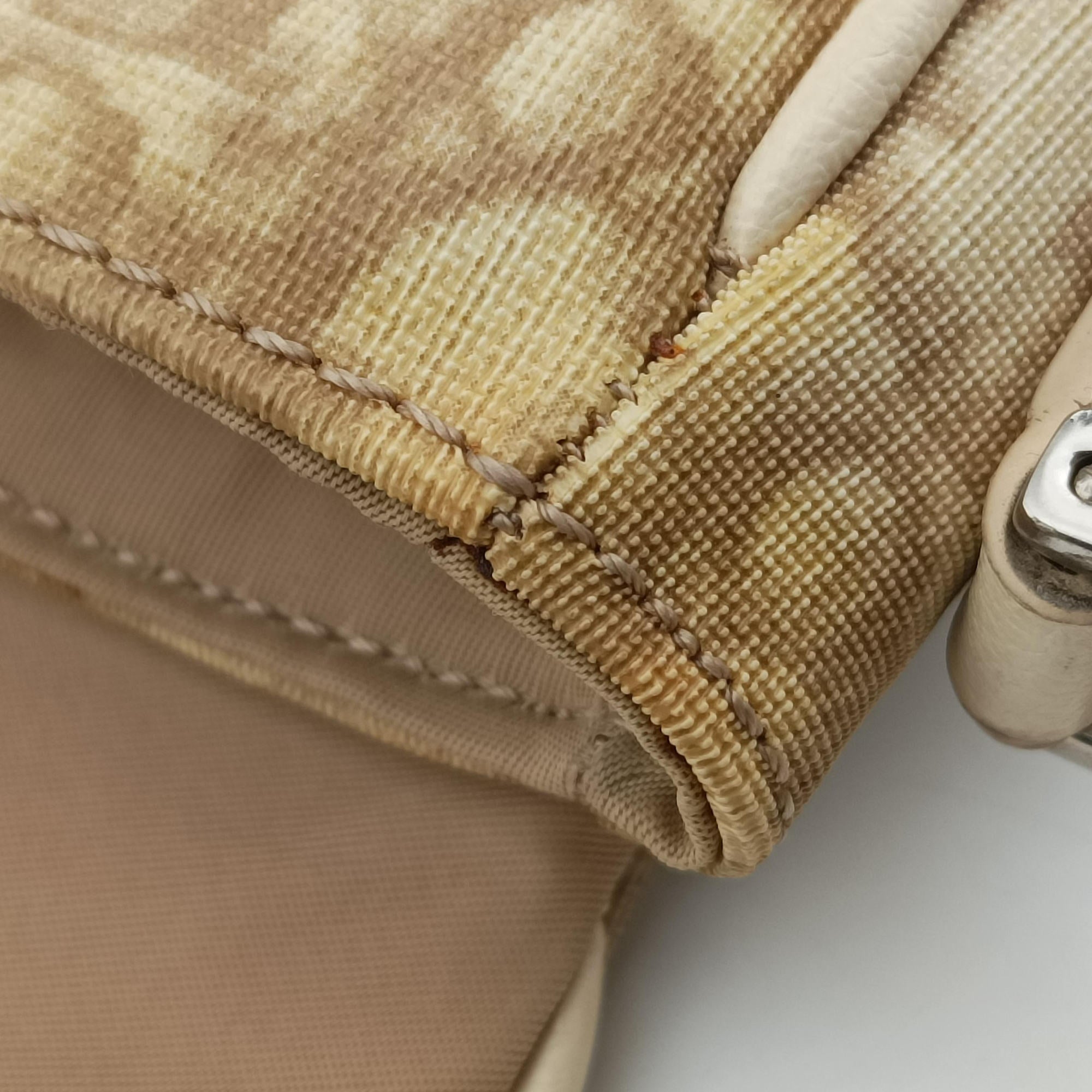 Pre-owned Christian Dior Trotter Flower Beige PVC Coated Canvas Floral Embroidery  shoulderbag | stylenewstar
