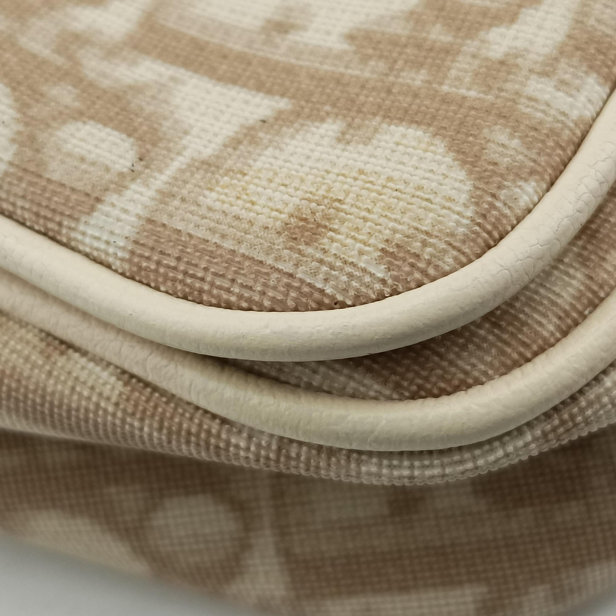 Pre-owned Christian Dior Trotter Flower Beige PVC Coated Canvas Floral Embroidery  shoulderbag | stylenewstar