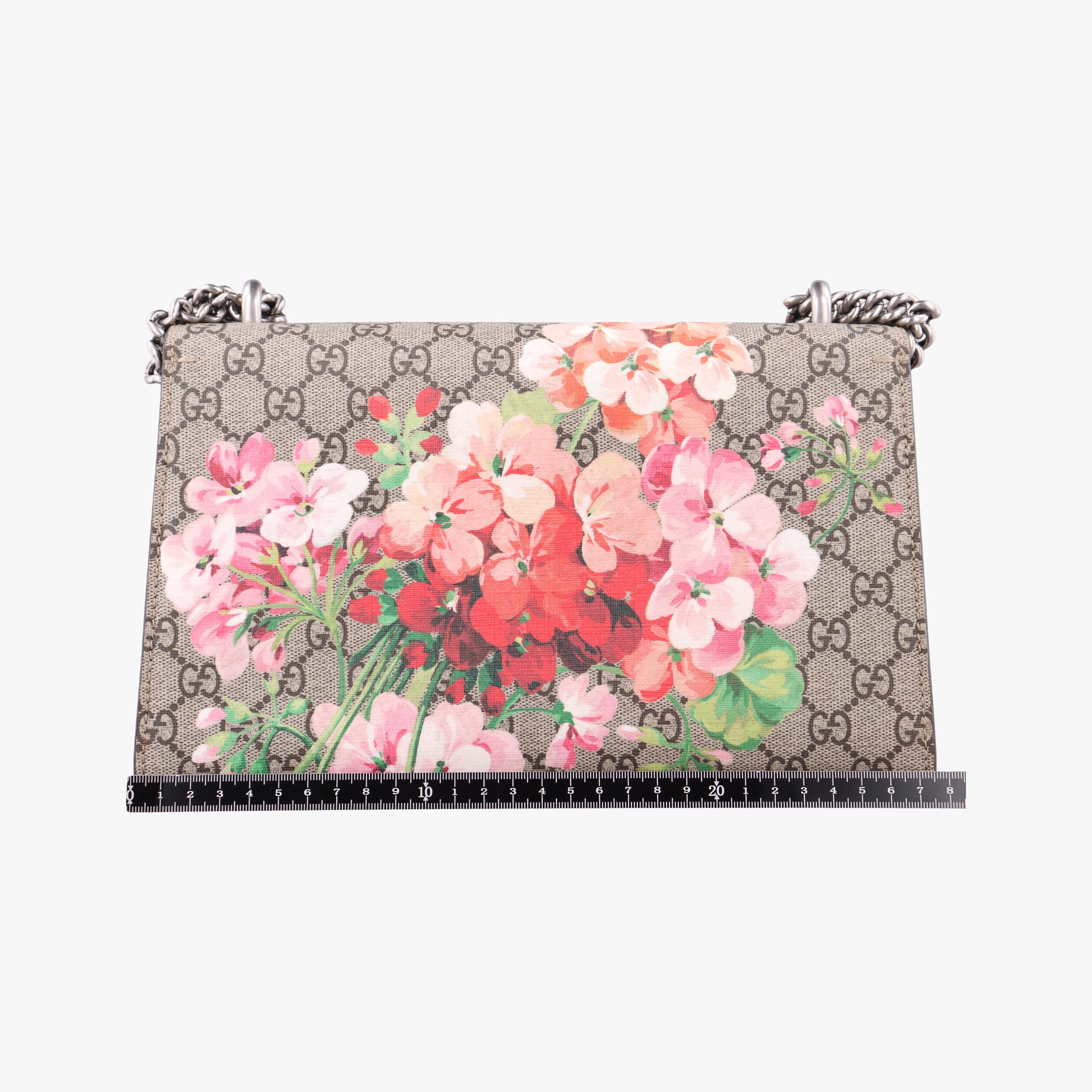 Pre-owned Gucci Dionysus Beige×Red×Multicolour PVC coated canvas × suede 400249 shoulderbag | stylenewstar