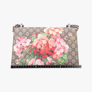 Pre-owned Gucci Dionysus Beige×Red×Multicolour PVC coated canvas × suede 400249 shoulderbag | stylenewstar