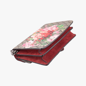 Pre-owned Gucci Dionysus Beige×Red×Multicolour PVC coated canvas × suede 400249 shoulderbag | stylenewstar