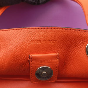 Pre-owned Christian Dior Diorissimo Purple×Orange Leather  handbag | stylenewstar
