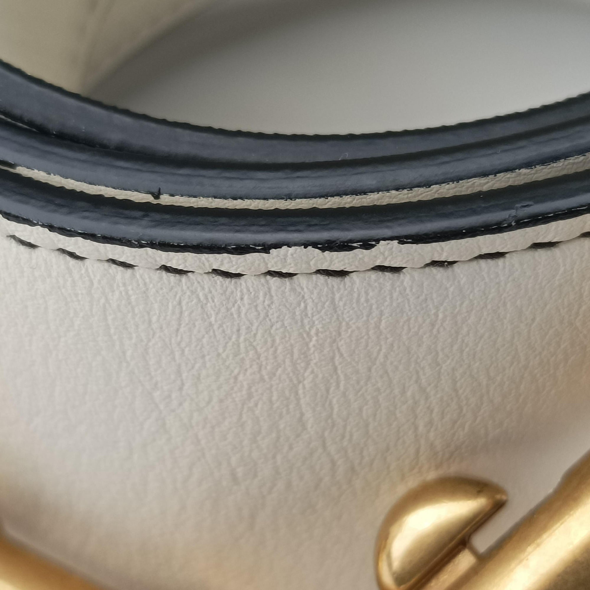 Pre-owned Christian Dior Niki de Saint Phalle Lady Dior White×Multicolour Leather  shoulderbag | stylenewstar